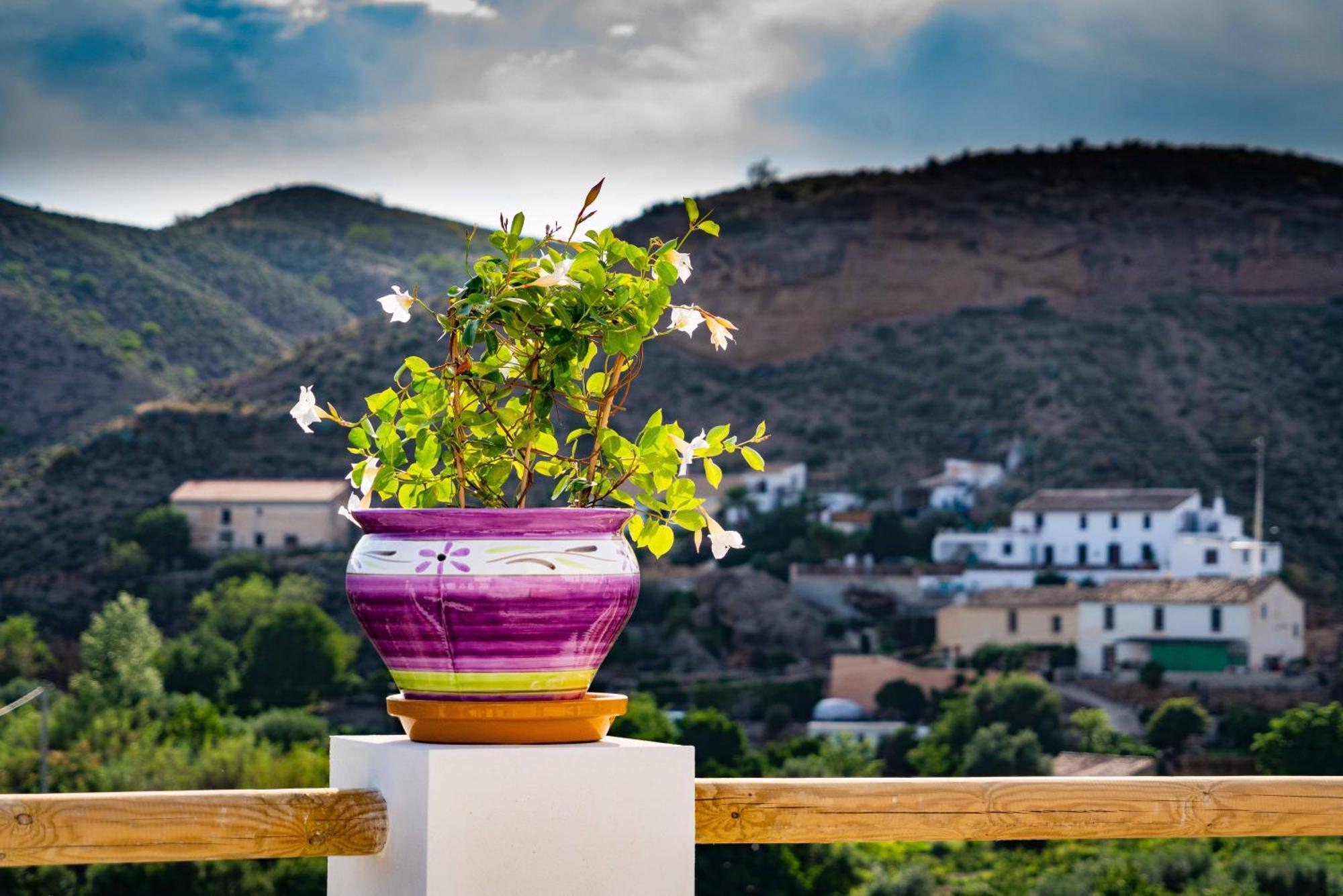 Rambla Retreats Apartment Rojo With Shared Pool & Hot Tub Stunning Views In Oria Eksteriør billede